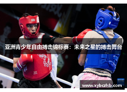 亚洲青少年自由搏击锦标赛：未来之星的搏击舞台