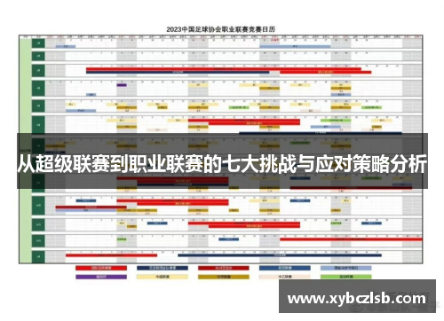 从超级联赛到职业联赛的七大挑战与应对策略分析