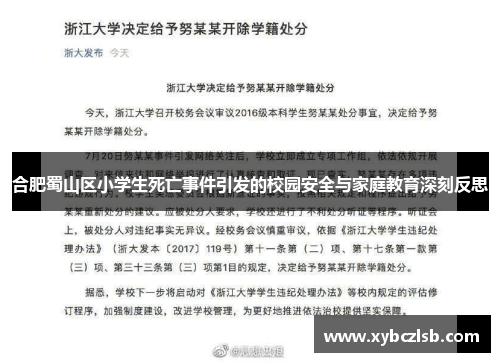 合肥蜀山区小学生死亡事件引发的校园安全与家庭教育深刻反思